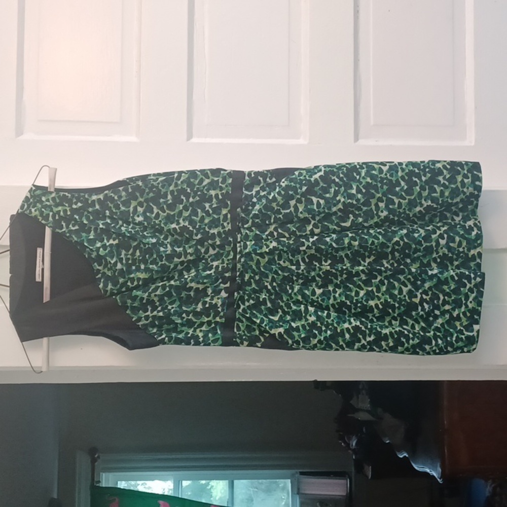 Seamline Cynthia Steffe Dress
